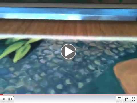 Unique Material, Direct Print on Bamboo � Art Reproduction