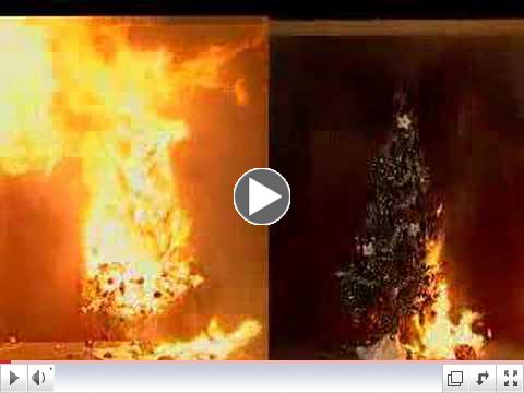 Demoonstration of Dry Tree VS Tree Watered Regularly