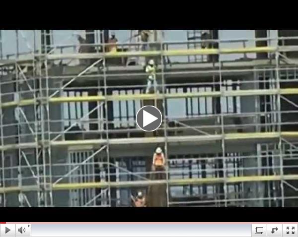 Screw Loose: Amazing Teamwork Around the World
