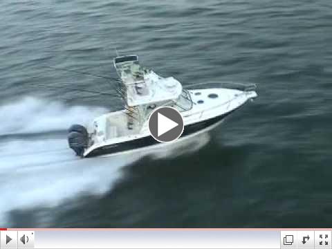 Century Boats 2900 Express 