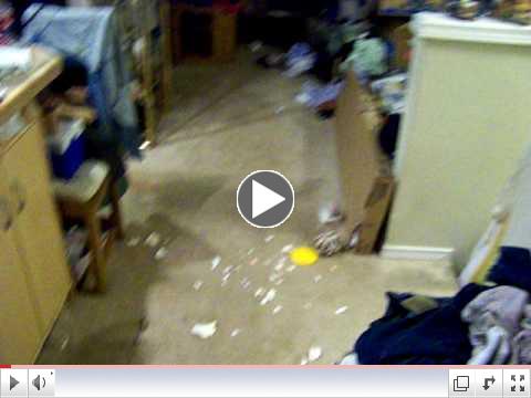July 4th Dog Disaster