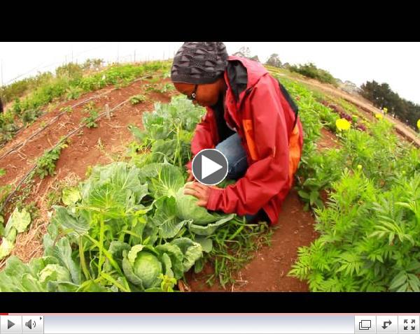 FoodWhat Youth Empowerment and Food Justice Program