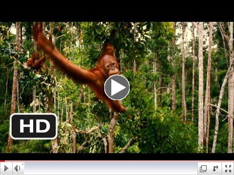 Born to Be Wild Official Trailer #1 - (2011) HD