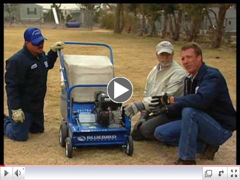How To Dethatch A Lawn
