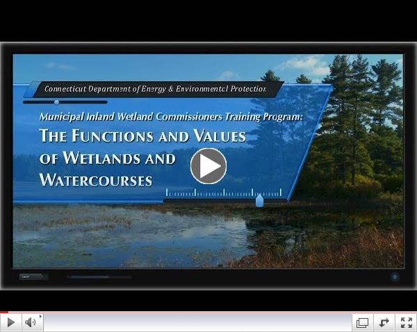 Wetland Functions & Values: Chapter 1 Introduction