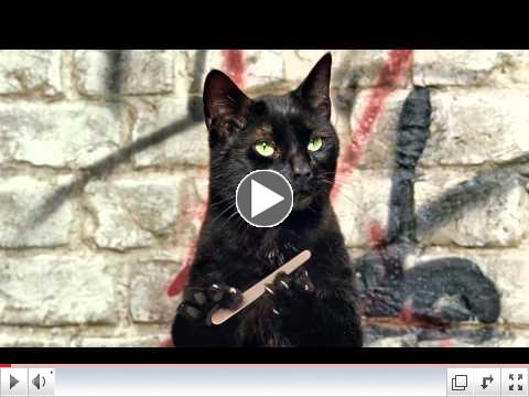 Cravendale - Cats with Thumbs