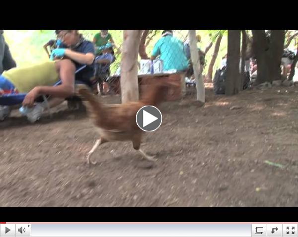 Dr. Sampson Comes to Tulsa