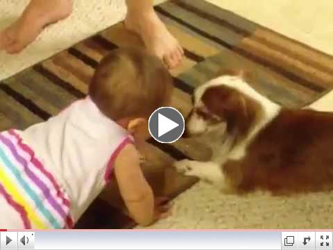 Are you and your dog ready for this??