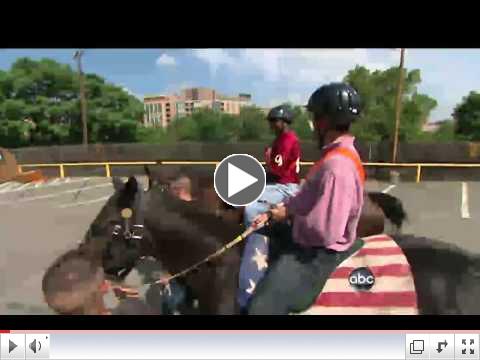 Army Horses Help Vets Gallop Toward Recovery
