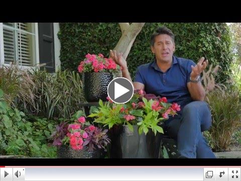 Made for Shade - one of the videos you'll find on Wedel's blog.