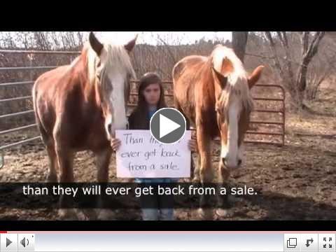 If you love horses, you must watch this video