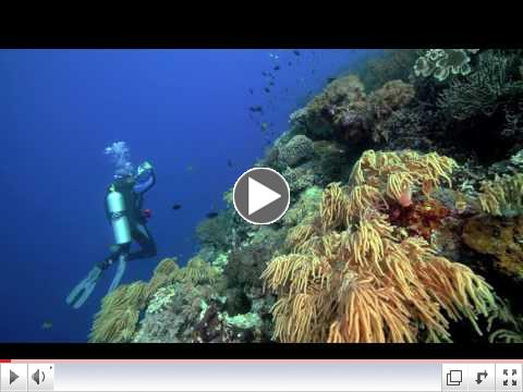 Click here to watch Nathalie's video.