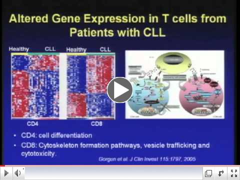CLL 2010 Patient Symposium: Immune System Defects