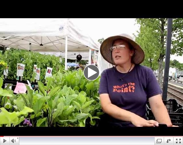 We are a Proud Partner of the Needham Farmers Market