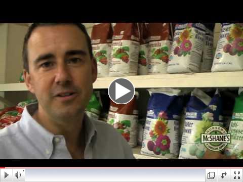 Organic versus Conventional Fertilizer: What Are The Differences?