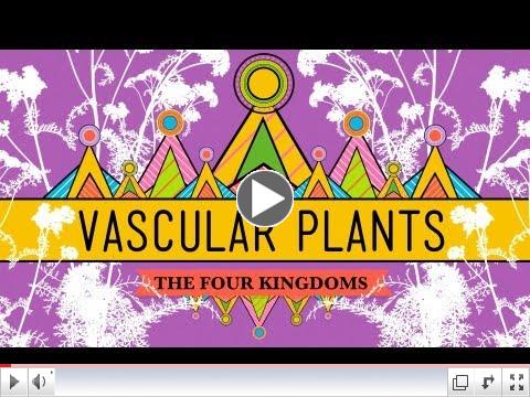 Vascular Plants Video
