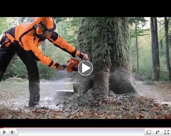 STIHL MS 661 C-M Chainsaw