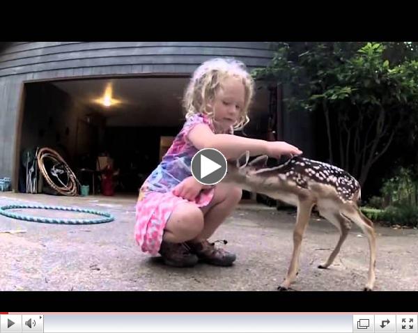 The Deer Whisperer