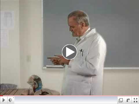 The Brain as explained by John Cleese