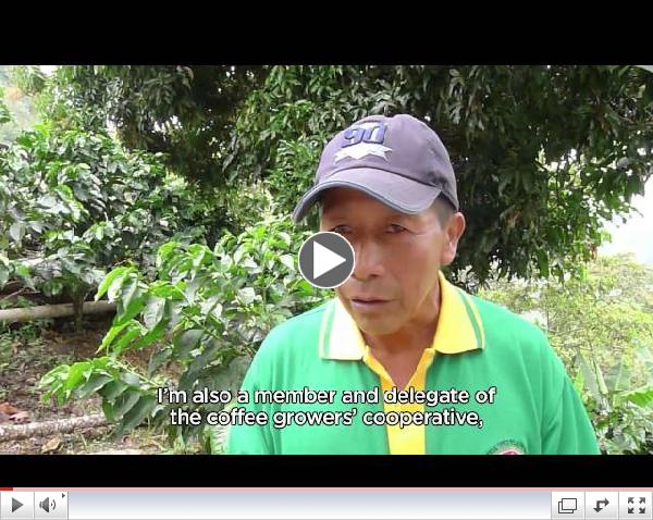 Meet Gilberto, La Vereda Coffee Leader