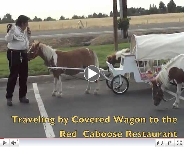 Clovis California travelogue of Red Caboose restaurant-mini horses-Interview with Wild Bill