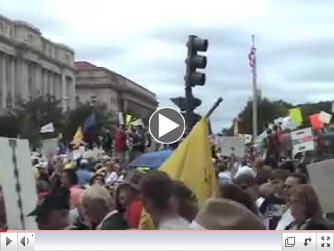 Tea party rallies