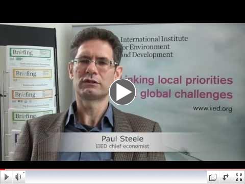 Understanding the SDGs: an interview with Paul Steele/ IIED