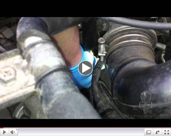 Nissan Figaro Gear Box Oil Check By The Figaro Shop