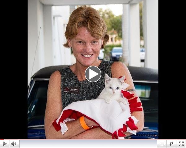 Rosie's Story - Amazing kitten with neurological condition