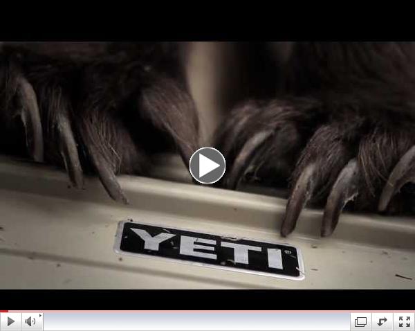 New YETI Coolers Grizzly Bear Video