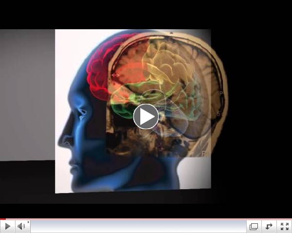 Wild Blueberries ??? Health Heroes