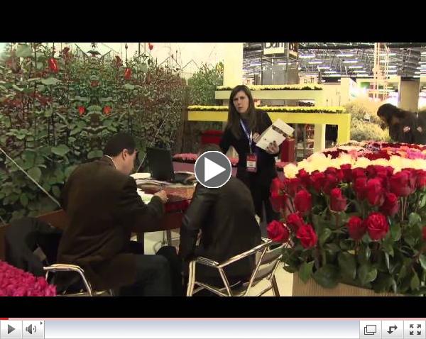 PROFLORA 2013