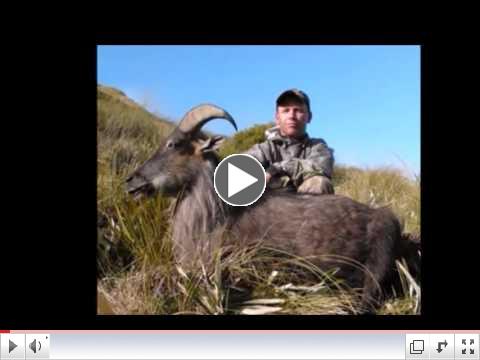 New Zealand #48