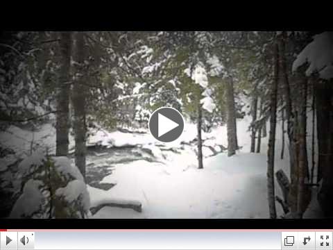 Snowshoeing the CT