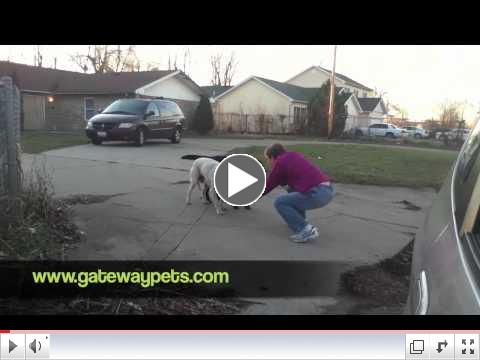 Lloyd & Whitney.  East St. Louis 12.29.11