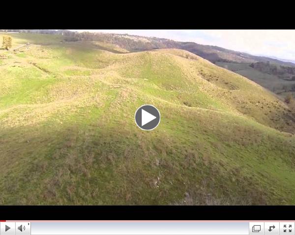 THE PICKAWAY FARM -- 215 +/- ACRES