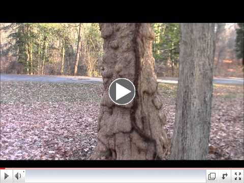 Ridley Creek State Park is a treasure!