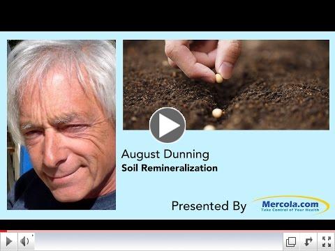 How to Improve Soil Health and Boost Yield With Ocean Minerals