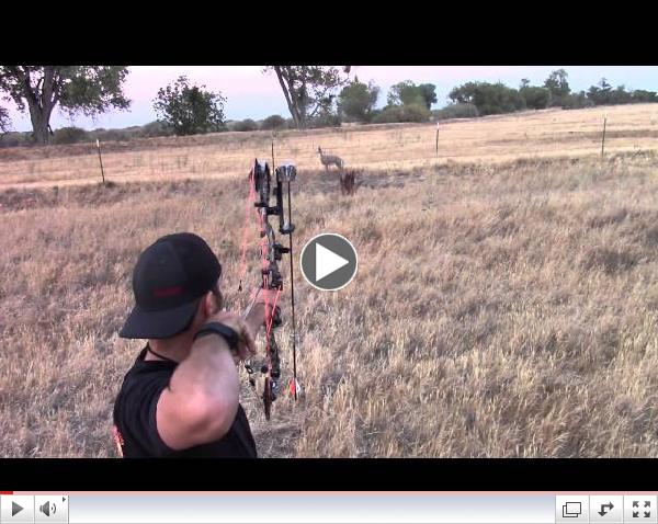 ATN Shot Trak Action Camera on Bow