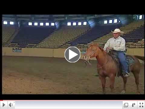 Horse Training: Lead Changes and Departures