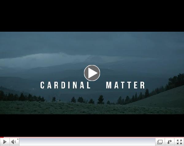 Cardinal Matter Teaser
