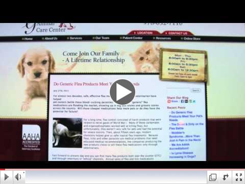 Findability for Veterinary Practice Web Sites