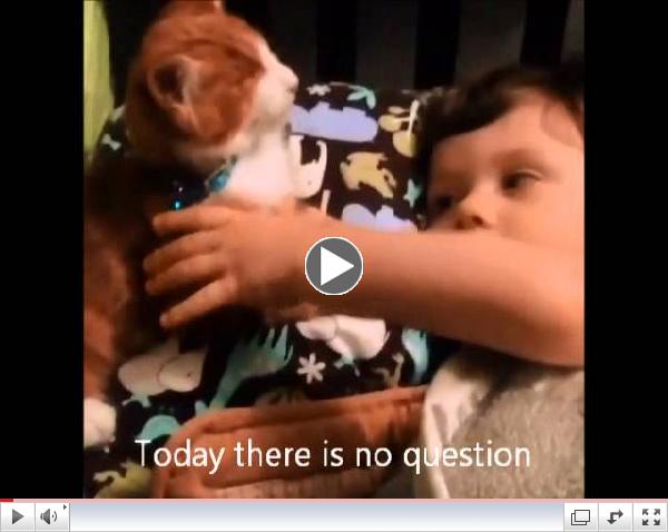 Murdock the magnicifent