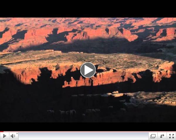 BIDDER 70 - Official Trailer