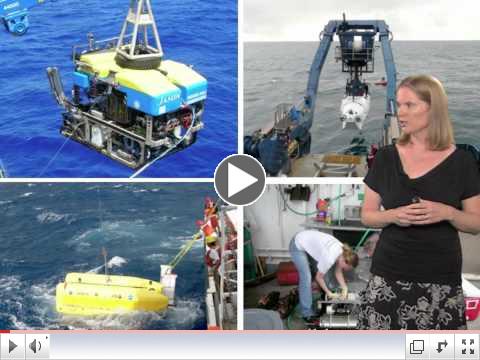 Julie Huber: Microbial Oceanography