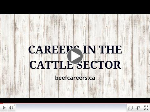 Career Opportunities in Livestock Marketing & Operations