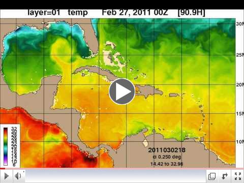 Ocean Circulation and Sea Surface Temeratures