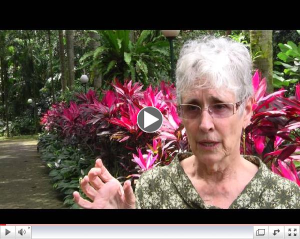 Women and forests: research for change