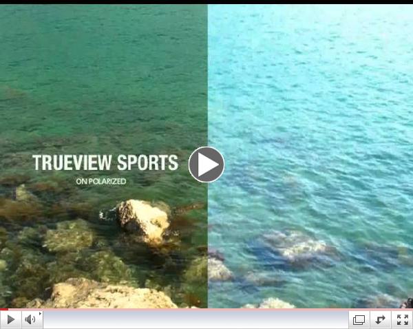 ZEAL OPTICS Polarized Sunglass