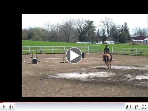 EXCA FLC pattern.wmv